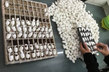 シルクの作り方を徹底解説！現代のシルクの作り方を知ろう